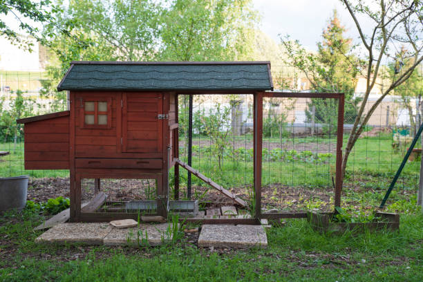 Materials for Building Chicken Runs