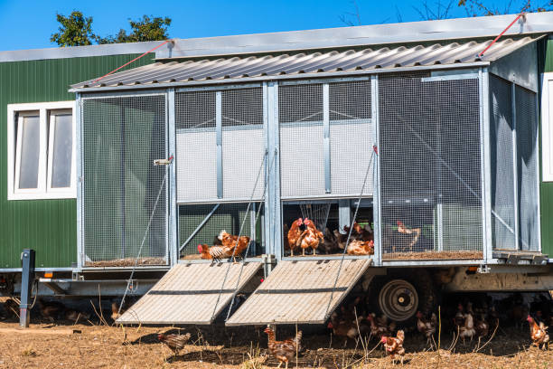 Portable Chicken Coop on Wheels 