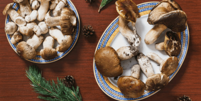 Golden-brown cooked Chicken of the Woods mushrooms, showcasing their vibrant texture and rich color.